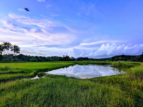 Hysteria2官方脚本手动搭建+端口跳跃